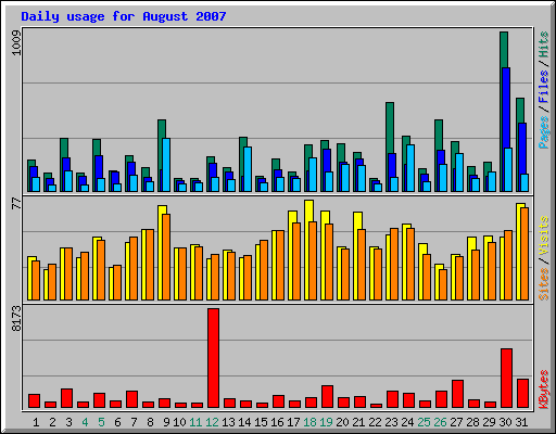 Daily usage for August 2007