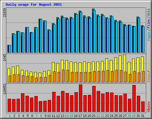 Daily usage for August 2021