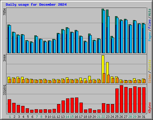 Daily usage for December 2024