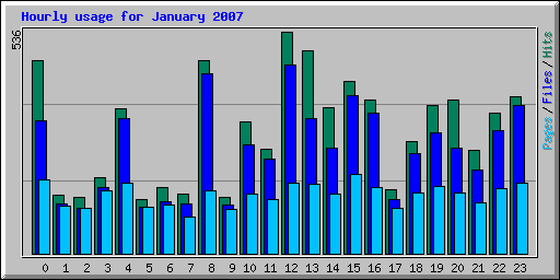 Hourly usage for January 2007