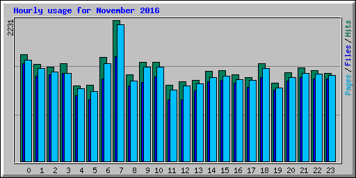 Hourly usage for November 2016