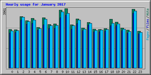 Hourly usage for January 2017