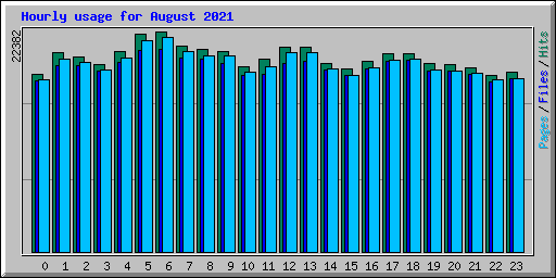 Hourly usage for August 2021