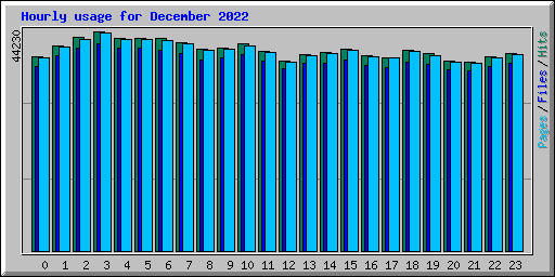 Hourly usage for December 2022