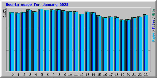 Hourly usage for January 2023