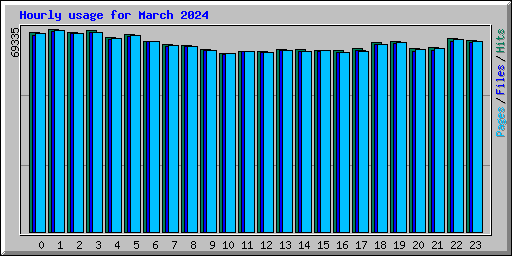 Hourly usage for March 2024