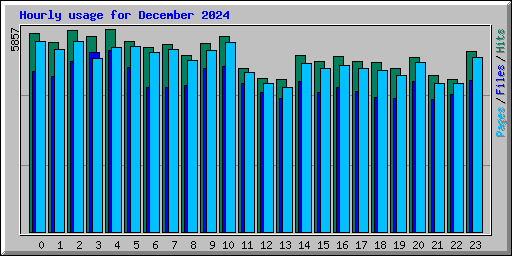 Hourly usage for December 2024