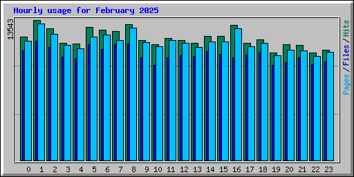 Hourly usage for February 2025