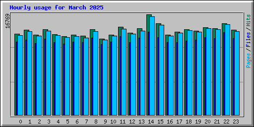 Hourly usage for March 2025