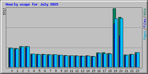 Hourly usage for July 2025