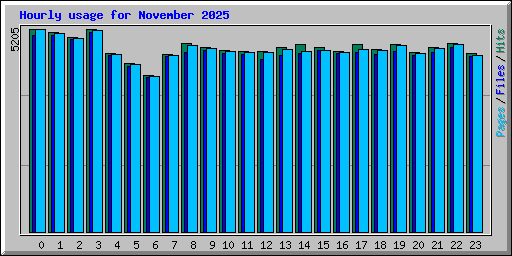 Hourly usage for November 2025