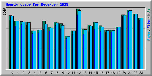 Hourly usage for December 2025