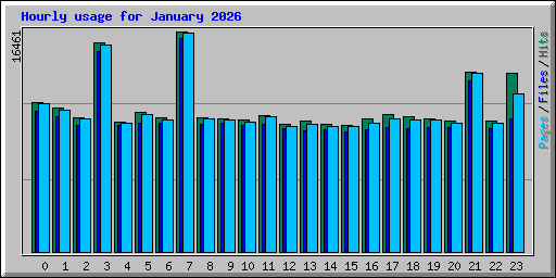 Hourly usage for January 2026