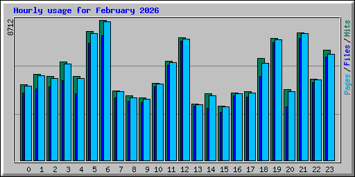 Hourly usage for February 2026
