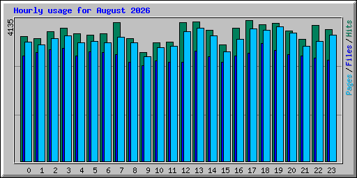 Hourly usage for August 2026